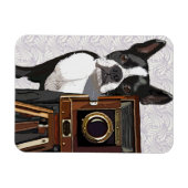 Magnet Flexible Boston Terrier Photographer 2 (Horizontal)