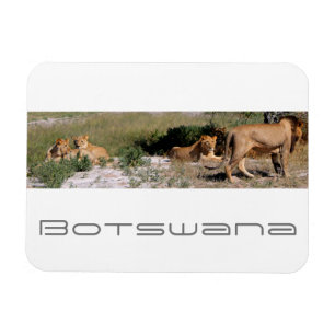 Magnet Flexible Botswana Centre Kalahari Lions Savannah Voyage