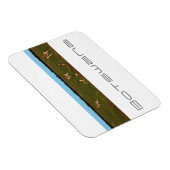 Magnet Flexible Botswana Centre Kalahari Savannah Springboks (Côté Droit)