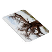Magnet Flexible Botswana Kubu Baobab Island Go Travel (Côté Droit)