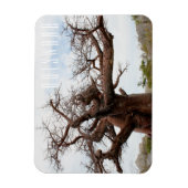 Magnet Flexible Botswana Kubu Baobab Island Go Travel (Vertical)