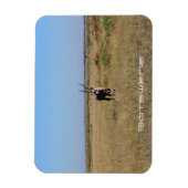 Magnet Flexible Botswana Oryx Animal Savannah Voyage (Vertical)