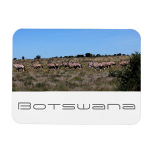 Magnet Flexible Botswana Oryx Animaux Savannah Voyage