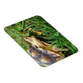 Magnet Flexible Bouche Sulcata Tortoise Open Take Bite of Grass (Côté Droit)