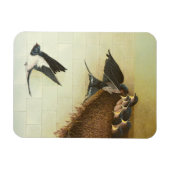 Magnet Flexible Bouches affamées 2011 (Horizontal)