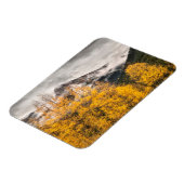 Magnet Flexible Boucle alpine | Silverton, Colorado (Côté Gauche)