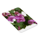 Magnet Flexible Bougainvillée (Côté Droit)