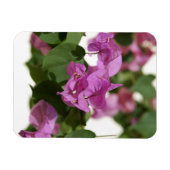Magnet Flexible Bougainvillée (Horizontal)