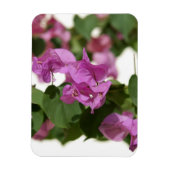Magnet Flexible Bougainvillée (Vertical)