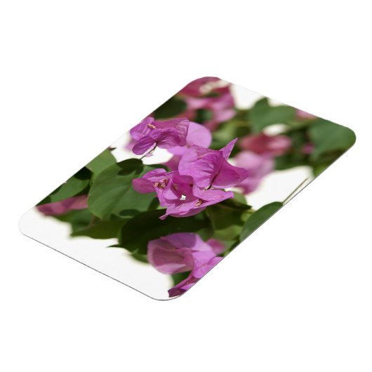 Magnet Flexible Bougainvillée (Côté Gauche)