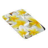 Magnet Flexible Bouquet Frangipani, aimant flexible (Côté Droit)