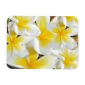 Magnet Flexible Bouquet Frangipani, aimant flexible (Horizontal)