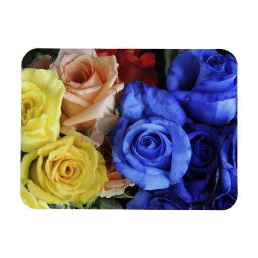 Magnet Flexible Bouquets de roses fraîches assortis (Horizontal)