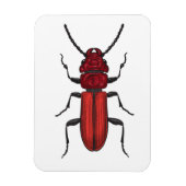 Magnet Flexible Bousier rouge (Vertical)