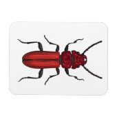 Magnet Flexible Bousier rouge (Horizontal)