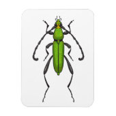 Magnet Flexible Bousier vert (Vertical)