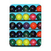 Magnet Flexible Bowling Blitz (Vertical)