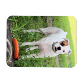 Magnet Flexible Boxer (Horizontal)