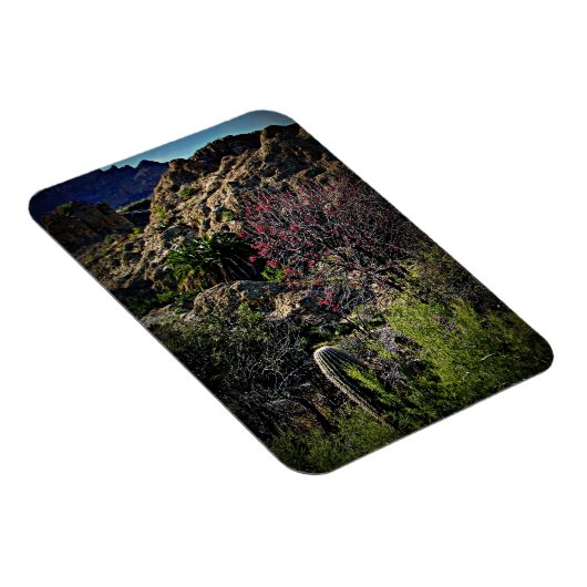 Magnet Flexible Boyce Thompson Arboretum (Côté Droit)