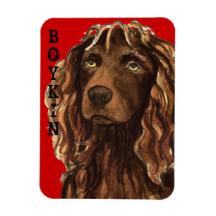 Magnet Flexible Boykin Spaniel Color Block