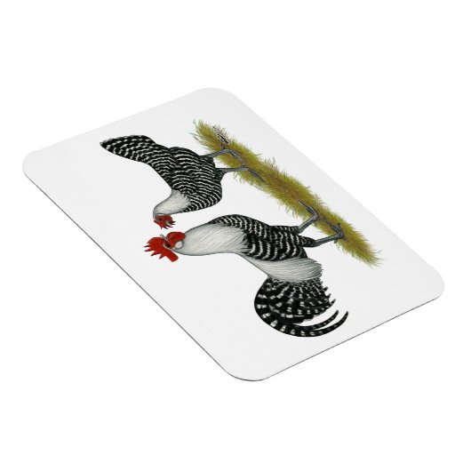 Magnet Flexible Brakel Chickens (Côté Droit)