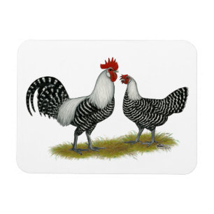 Magnet Flexible Brakel Chickens