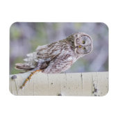 Magnet Flexible Branche d'arbre d'astre gris (Horizontal)