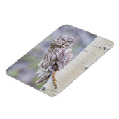 Magnet Flexible Branche d'arbre d'astre gris (Côté Gauche)