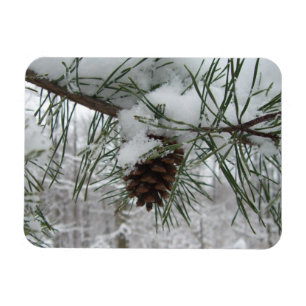 Magnet Flexible Branche des pins neigeux Photographie de la nature