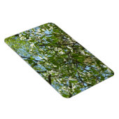 Magnet Flexible Branche of Dogwood Blossoms Spring Trees (Côté Droit)