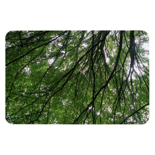 Magnet Flexible Branches et aimants Premium Feuille (Horizontal)