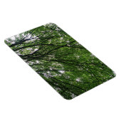Magnet Flexible Branches et aimants Premium Feuille (Côté Droit)