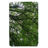 Magnet Flexible Branches et aimants Premium Feuille (Vertical)