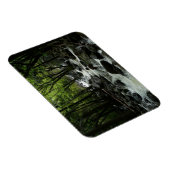 Magnet Flexible Bridalveil Creek à Yosemite National Park (Côté Droit)