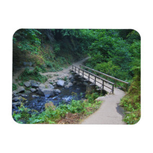 Magnet Flexible Bridge at Latourell Falls, Oregon