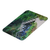 Magnet Flexible Bridge at Latourell Falls, Oregon (Côté Gauche)