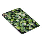 Magnet Flexible Brillant Vert frais Bruxelles (Côté Droit)