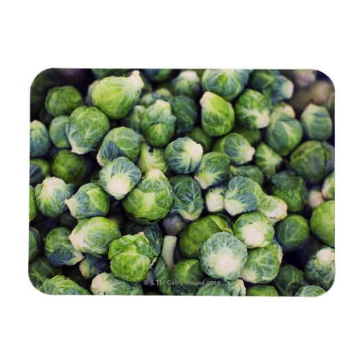 Magnet Flexible Brillant Vert frais Bruxelles (Horizontal)