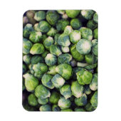 Magnet Flexible Brillant Vert frais Bruxelles (Vertical)