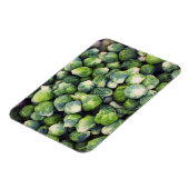 Magnet Flexible Brillant Vert frais Bruxelles (Côté Gauche)