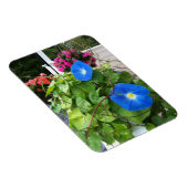 Magnet Flexible Brilliant Blue Morning Glories (Côté Droit)