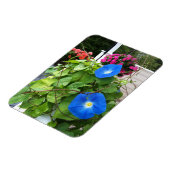 Magnet Flexible Brilliant Blue Morning Glories (Côté Gauche)