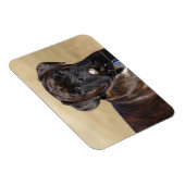 Magnet Flexible Brindle Boxer Chien debout (Côté Droit)