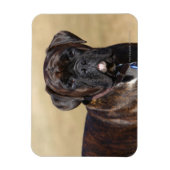 Magnet Flexible Brindle Boxer Chien debout (Vertical)