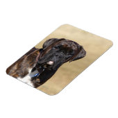 Magnet Flexible Brindle Boxer Chien debout (Côté Gauche)