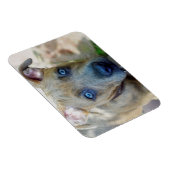 Magnet Flexible Brindle Pit Bull Puppy par Shirley Taylor (Côté Droit)