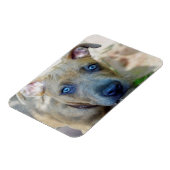 Magnet Flexible Brindle Pit Bull Puppy par Shirley Taylor (Côté Gauche)