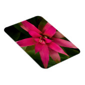 Magnet Flexible Bromeliade en fleur (Côté Droit)