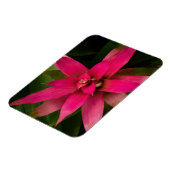 Magnet Flexible Bromeliade en fleur (Côté Gauche)
