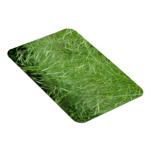 Magnet Flexible Bromus tectorum (Côté Droit)